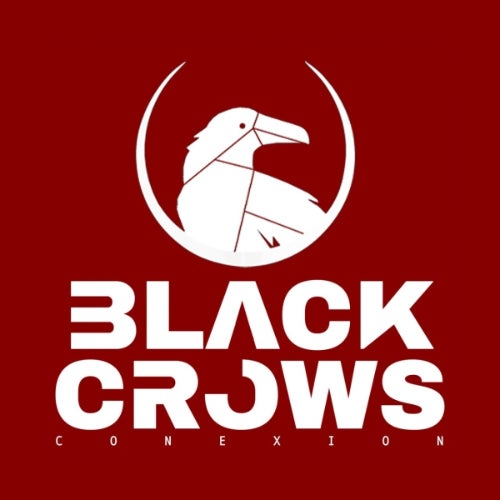 Black Crows Conexion