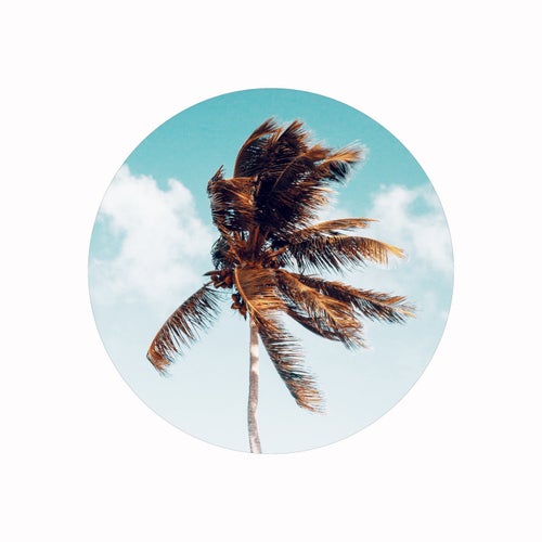 Palm Beach