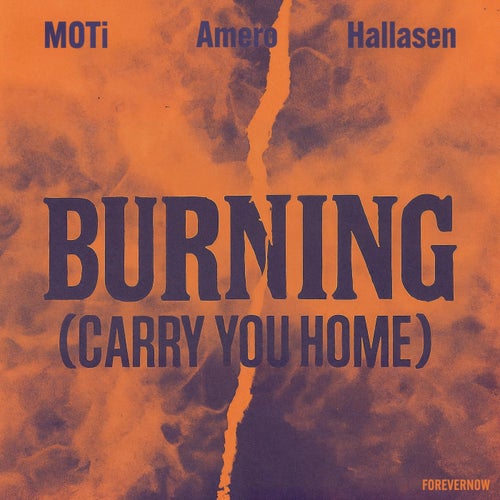 Burning (Carry You Home) (Extended Mix)