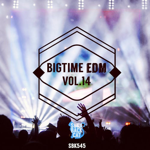 Bigtime EDM, Vol. 14