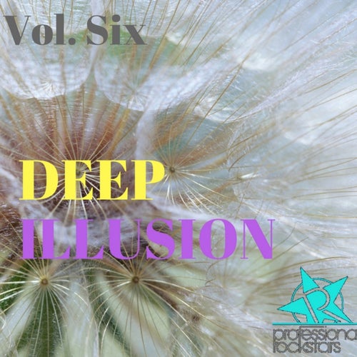 Deep Illusion