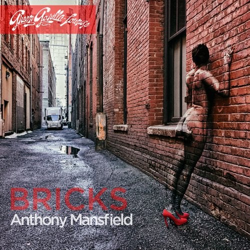 Cover art for Bricks