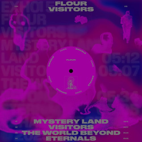 Visitors