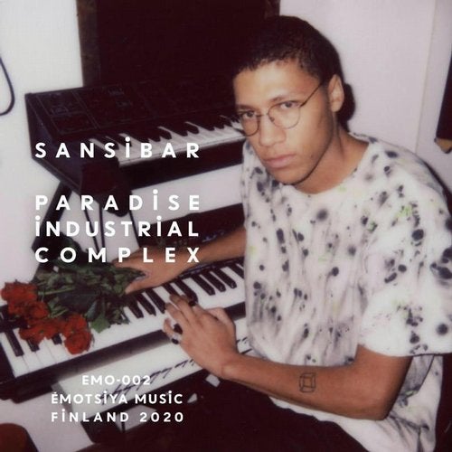 Cover art for Paradise Industrial Complex