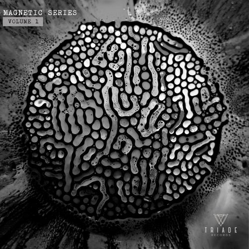 Magnetic Series - Volume 1