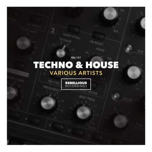 Techno & House