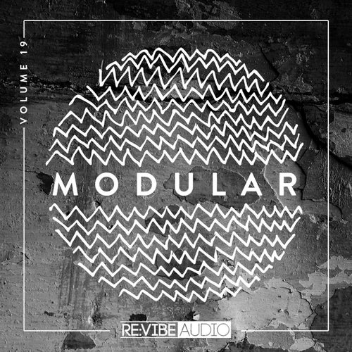 Modular, Vol. 19