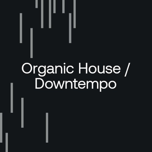 After Hours Essentials 2023: Organic H/D