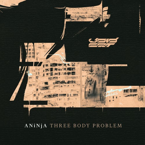 Three Body Problem