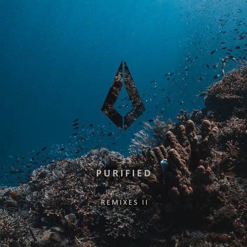 Purified Remixes II PF0179BP