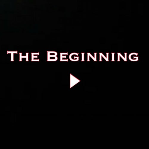 The Beginning