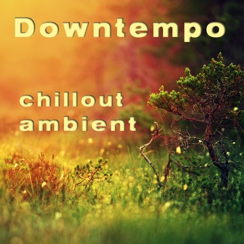 CHILLOUT-AMBIENT 1