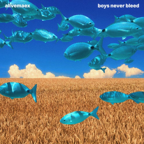 boys never bleed
