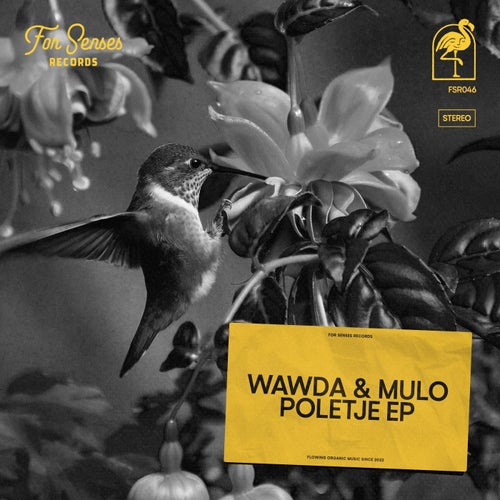 Wawda & Mulo - Poletje (2024)