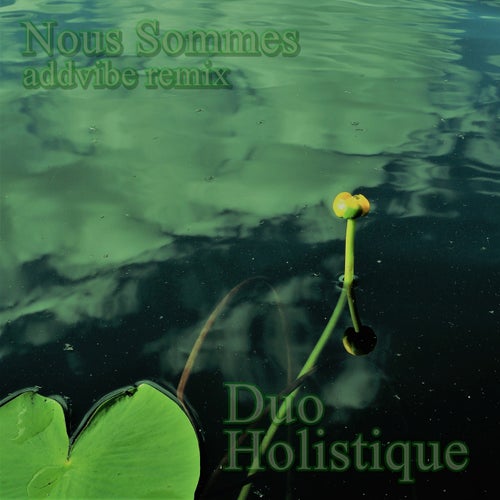 Nous sommes (Addvibe Remix)