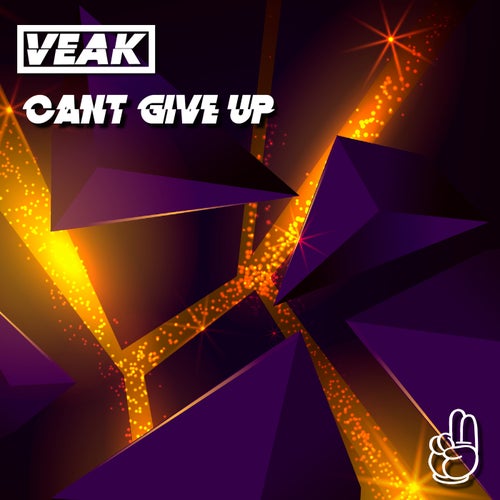 Cant Give Up