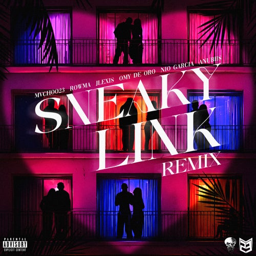 Sneaky Link Remix
