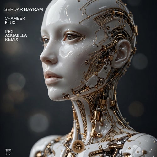 Serdar Bayram — Chamber (2026)