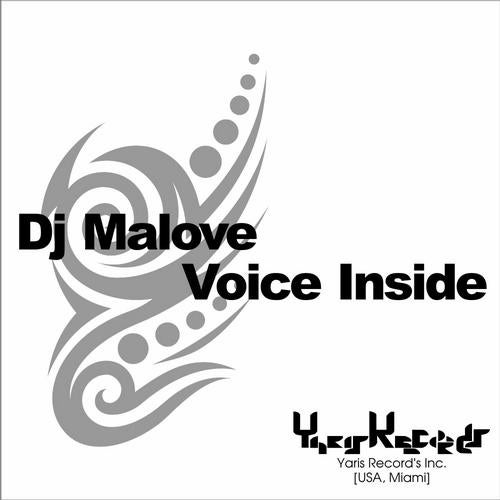 Voice Inside