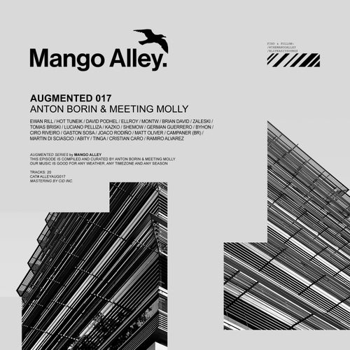Augmented 017  Anton Borin & Meeting Molly (2025) - Mango Alley