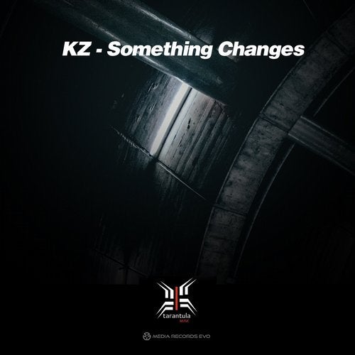 Cover art for Something Changes
