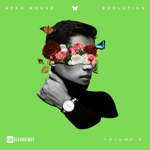 Cover art for Afro House Evolution, Vol. 06