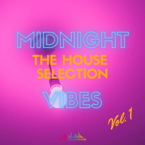 Midnight Vibes: The House Selection, Vol. 1