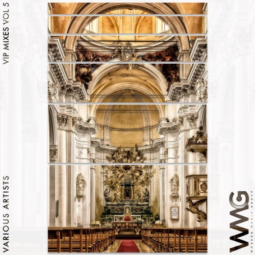 VIP Mixes, Vol. 5