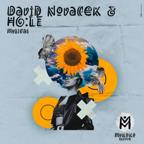 David Novacek, Hole - Musica (Extended Mix) [2024]