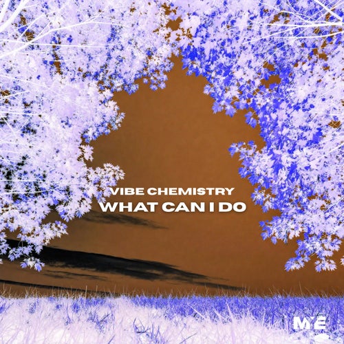 What Can I Do