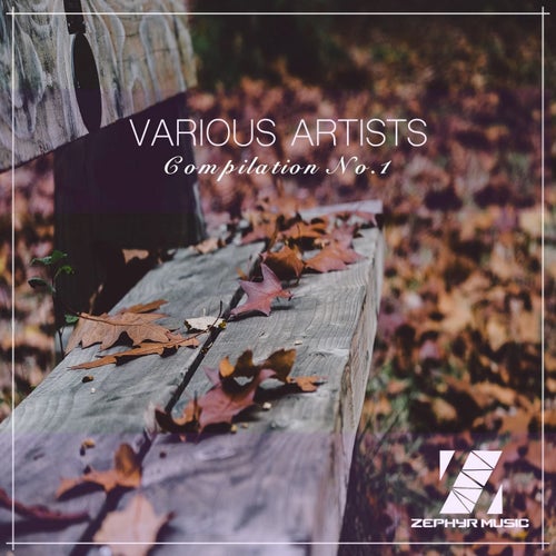 Various Artists Compilation No-1