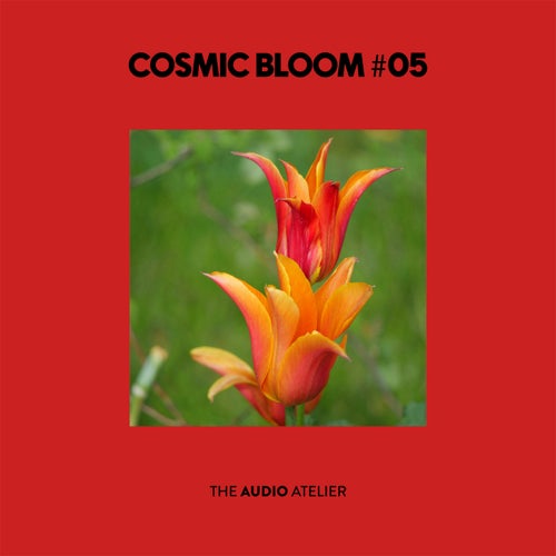 Cosmic Bloom #05