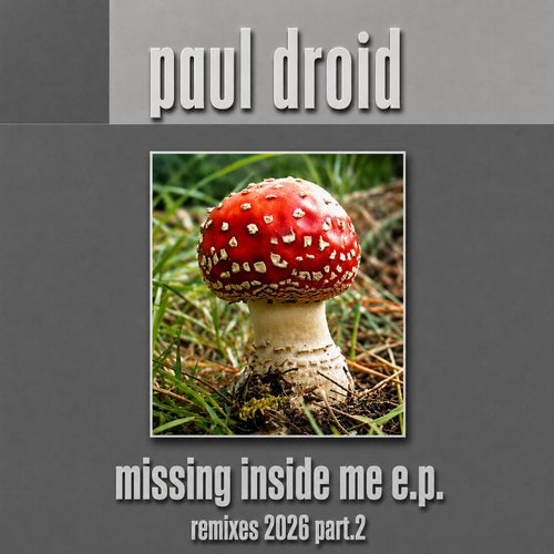 Missing Inside Me (Remixes 2026 Part.2)