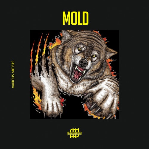 Mold
