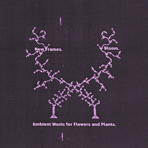 Bloom. Ambient Music for Flowers and Plants.