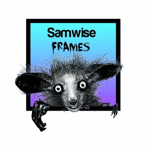 Cover art for Frames