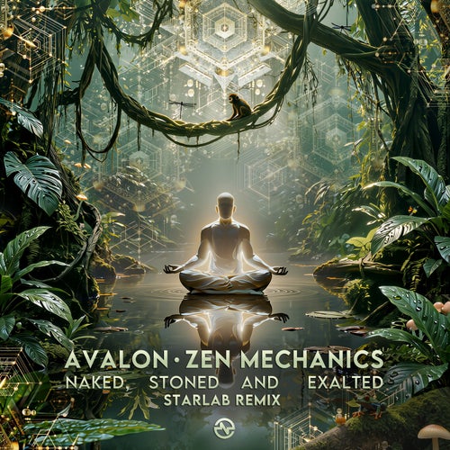 Avalon & Zen Mechanics — Naked, Stoned And Exalted (Starlab Remix) (2026)