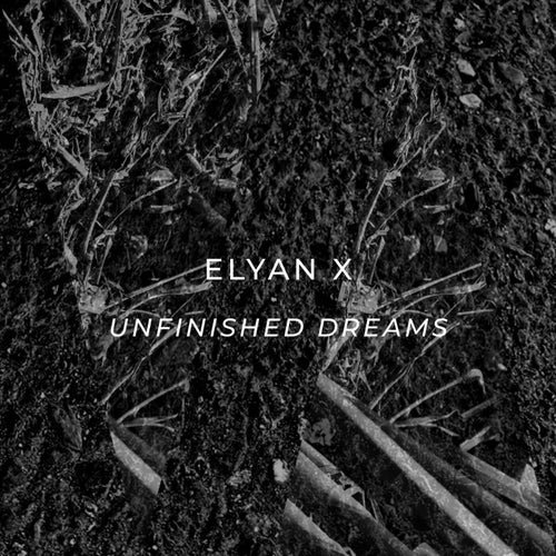 Unfinished Dreams