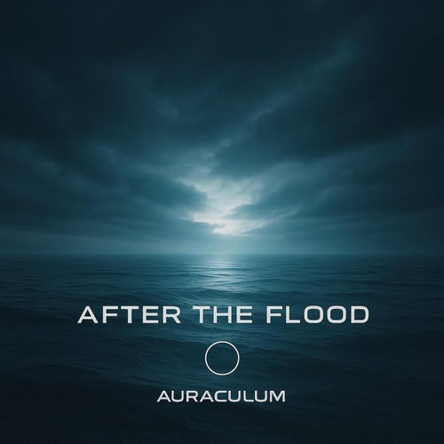  Shaun Foley - After The Flood (2025) 