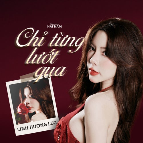 Chỉ Từng Lướt Qua (SS Remix)
