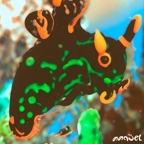 Sea Bunny