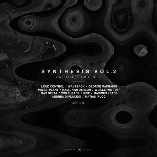 SYNTHESIS, Vol. 2
