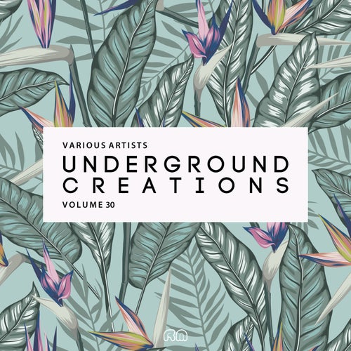 Cover art for Underground Creations Vol. 30