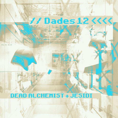 Cover art for Dades 12