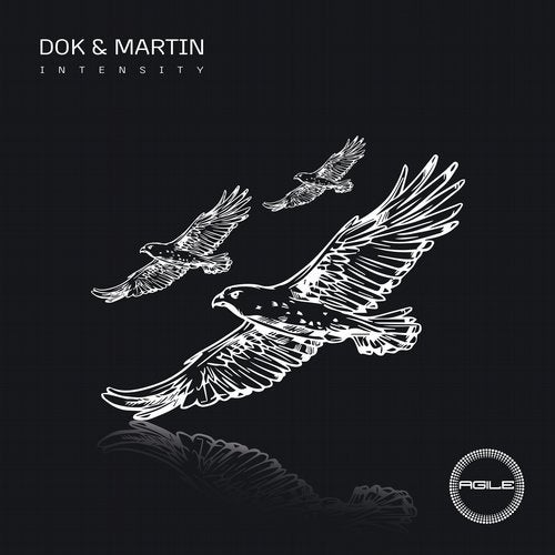 Cover art for Intensity