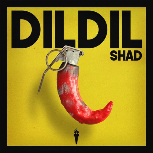 Dil Dil