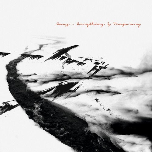 Cover art for Everything Is Temporary