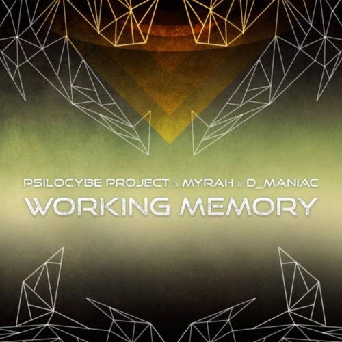 Working Memory