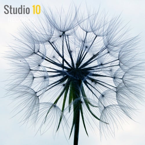 Studio 10 Records