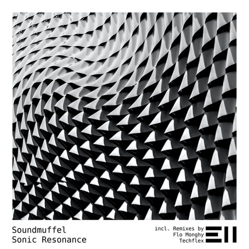 Sonic Resonance